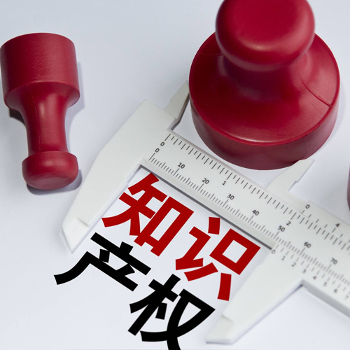 知识产权业务